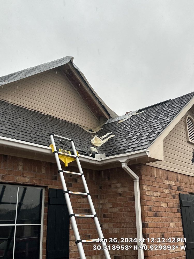 Slide of Roofelangelo