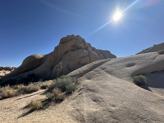 Jumbo Rocks Campground by null