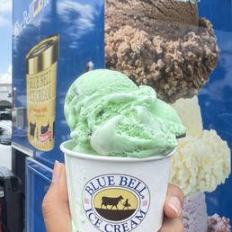 Mint Chocolate Chip Mint Chocolate Chip