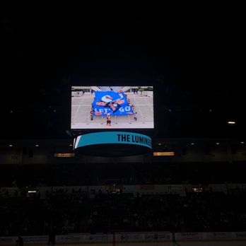 San Diego Gulls - Professional Sports Teams Near Me - San Diego, California San Diego Gulls - Professional Sports Teams Near Me - San Diego, California