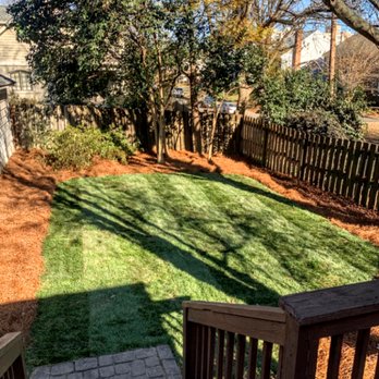 Curb Appeal Landscaping - a view of a back yard - Lawn Services Near Me - Charlotte, North Carolina Curb Appeal Landscaping - a view of a back yard - Lawn Services Near Me - Charlotte, North Carolina