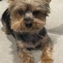 Photo of Woof Gang Bakery & Grooming Aberdeen