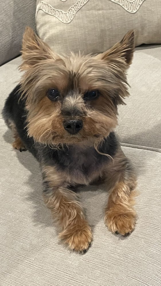Woof Gang Bakery & Grooming Aberdeen Image