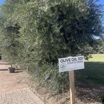 Queen Creek Olive Mill - Specialty Food Near Me - Queen Creek, Arizona
