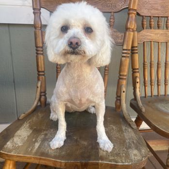 Bark N Fetch - Pet Groomers Near Me - Huntington Beach, California