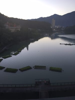 Sun Moon Lake Hotel by null