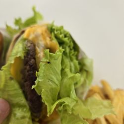 In-N-Out Burger
