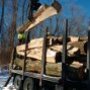 Photo of Seasoned Firewood Company