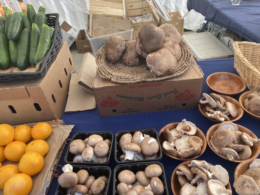 Hyde Park Village Fresh Market by null