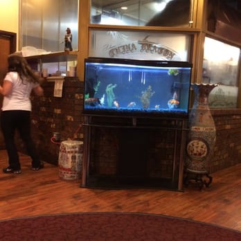 China Dragon Restaurant - My only complaint is the fish tank I seriously UGLY - Chinese Near Me - Spokane, Washington