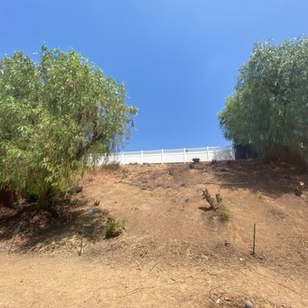 Angel Tree Care - 3 large pepper trees near the fence line on both sides of the yard. - Tree Services Near Me