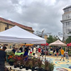 Columbia Heights Farmers Market - Especially enjoyed this vendor selling succulents and various plants