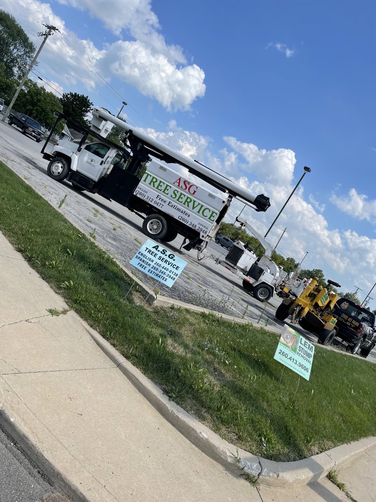 Lem Stump Removal - tree service in Fort Wayne, IN