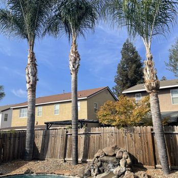 Hercules Lawn & Tree Service - Window Washing Near Me - Turlock, California Hercules Lawn & Tree Service - Window Washing Near Me - Turlock, California