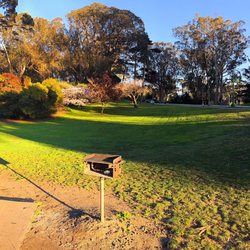 Marx Meadow - Great Spot for a Picnic in GGP - Surrounded by the Disc Golf Course