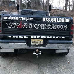 WOODPECKER TREE SERVICE - 106 Photos & 21 Reviews - Tree Services