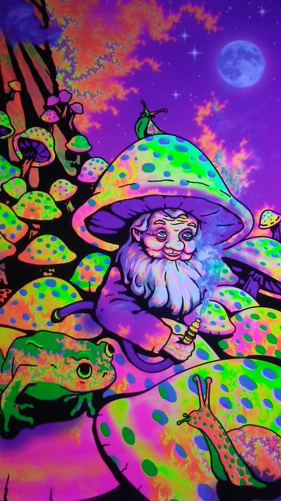 MAGIC MUSHROOMS Updated September 2024 1407 Sudderth Dr, Ruidoso