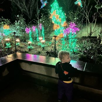 Garden D'Lights - Local Flavor Near Me - Bellevue, Washington Garden D'Lights - Local Flavor Near Me - Bellevue, Washington