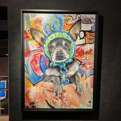 Galerie Rue Toulouse