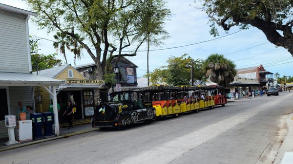Conch Train Tour by null