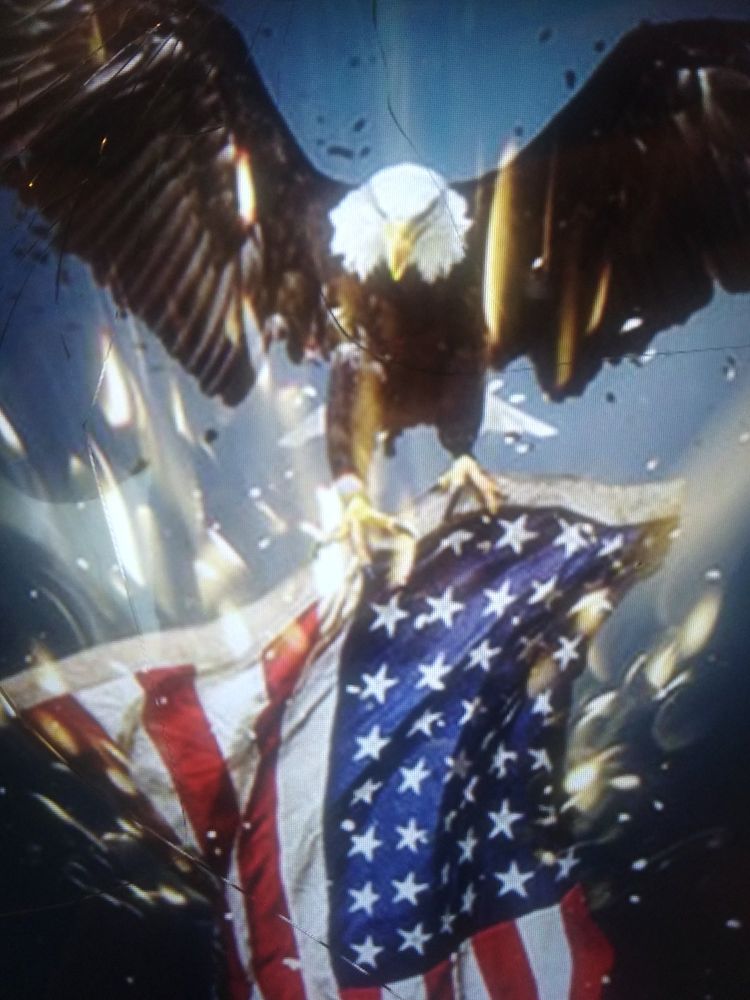 Slide of Flying Eagle Patriots Roofing