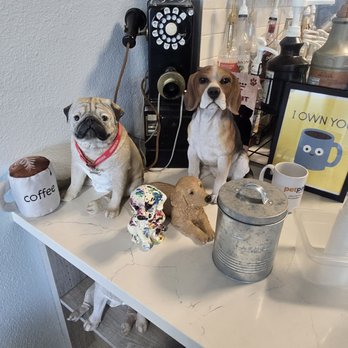 4 Paws Coffee Co. - Coffee & Tea Near Me - Palm Springs, California