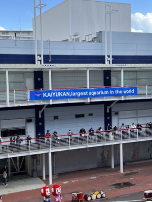 Osaka Aquarium Kaiyukan by null