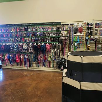 My Pet Market - Pet Stores Near Me - Glendale, Arizona My Pet Market - Pet Stores Near Me - Glendale, Arizona