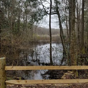 Alfred B  Maclay Gardens State Park - Parks Near Me - Tallahassee, Florida