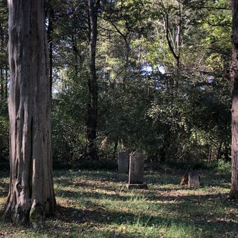 Natchez Trace Parkway - Drive o the actual trail - Parks Near Me - Tupelo, Mississippi Natchez Trace Parkway - Drive o the actual trail - Parks Near Me - Tupelo, Mississippi