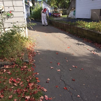 Home Free Pest Control - Spraying a yellow jacket nest - Pest Control Near Me - Bristol, Connecticut Home Free Pest Control - Spraying a yellow jacket nest - Pest Control Near Me - Bristol, Connecticut