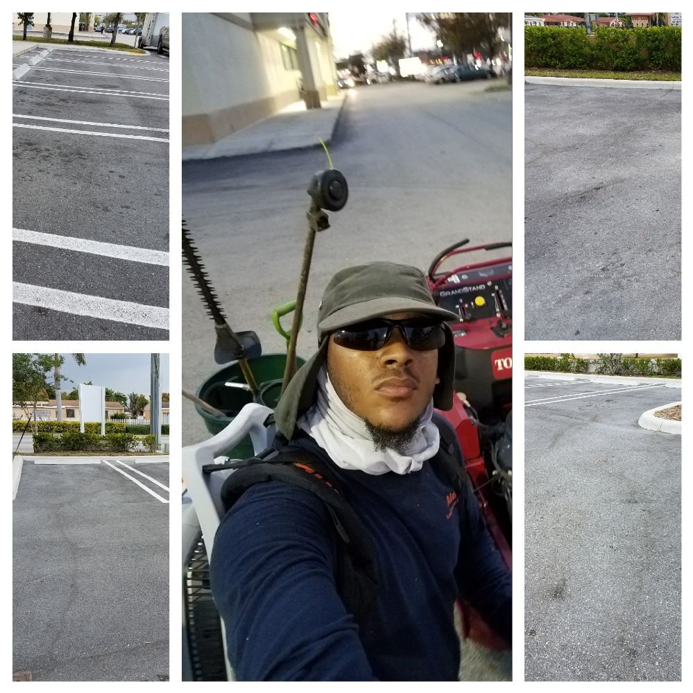 Alex's Landscaping Service Corp - tree service in North Miami Beach, FL