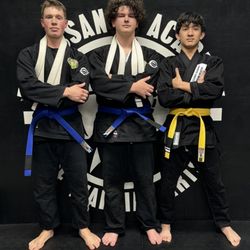 Renaissance Academy of Martial Arts - My son (in the middle) after receiving his blue belt along side his buddies.