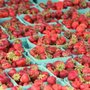 Maple Grove Farmers Market