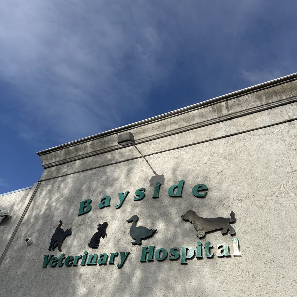 TOP 10 BEST Vet Clinic in Vallejo, CA - Updated 2026 - Yelp