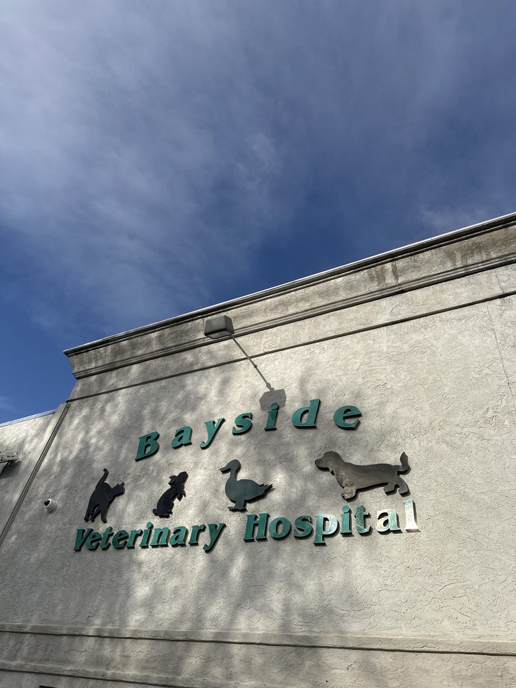 BAYSIDE VETERINARY HOSPITAL Updated July 2024 39 Photos & 97