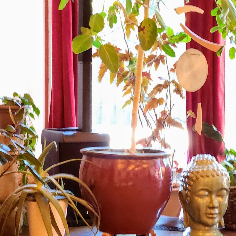 Center Peace - Supernatural Readings Near Me - Farmington, Michigan Center Peace - Supernatural Readings Near Me - Farmington, Michigan