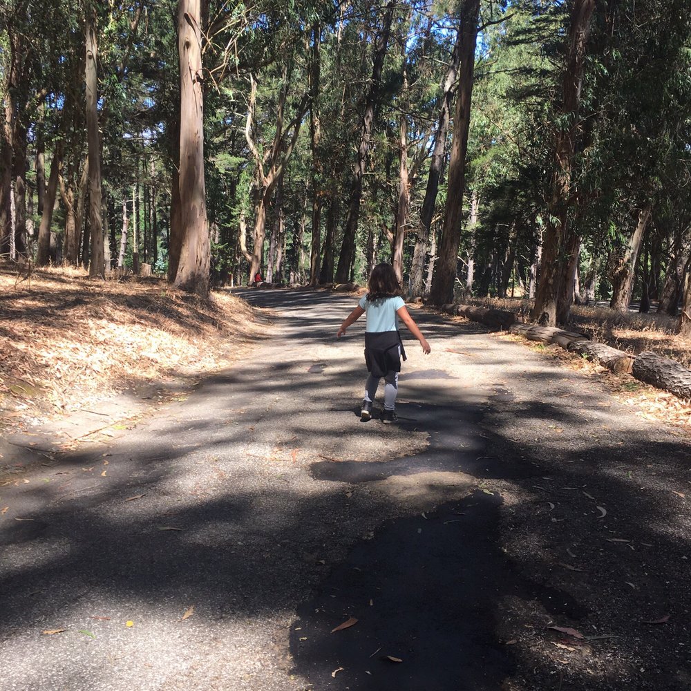 Junipero Serra Park - Parks Near Me - San Bruno, California Junipero Serra Park - Parks Near Me - San Bruno, California