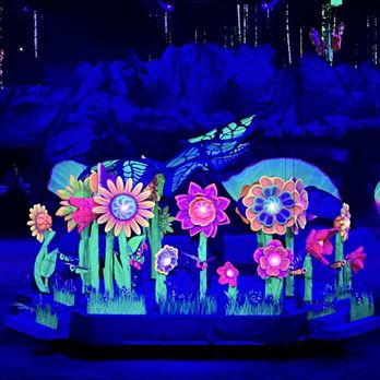 Dolly Parton's Stampede - Butterfly show! So pretty - Performing Arts Near Me - Branson, Missouri Dolly Parton's Stampede - Butterfly show! So pretty - Performing Arts Near Me - Branson, Missouri