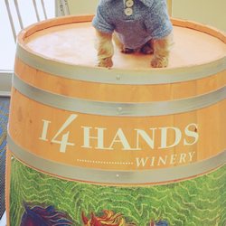 Warwick Wine & Spirits