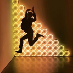 Dan Flavin Dan Flavin