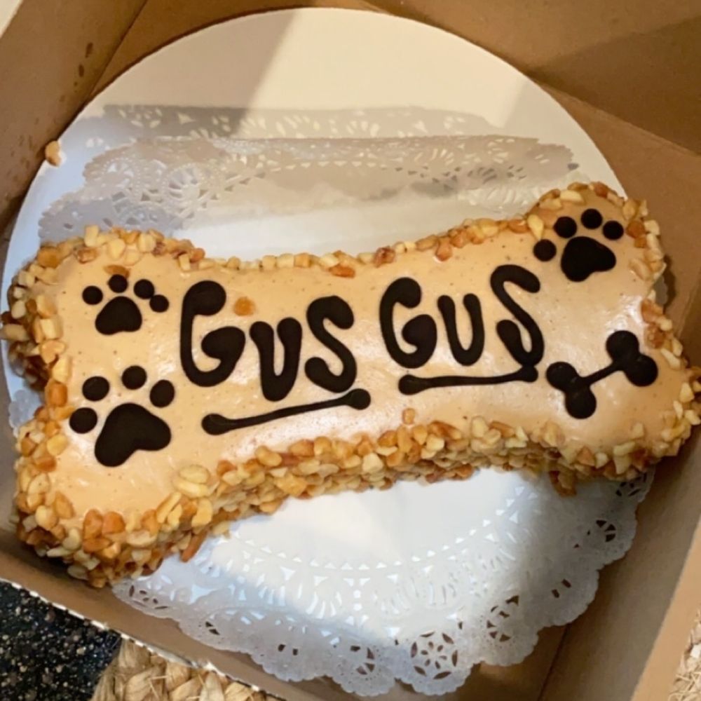 Wiggle Butts - Pet Stores Near Me - Arlington, Texas Wiggle Butts - Pet Stores Near Me - Arlington, Texas