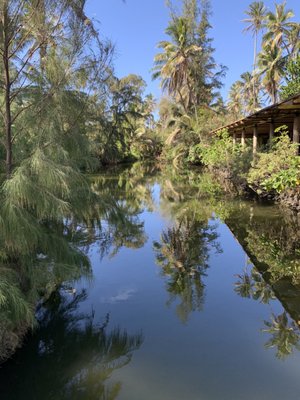 Coco Palms Resort by null