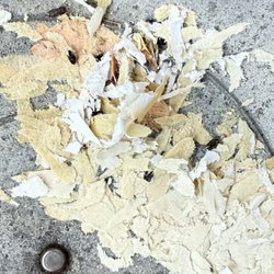 Windsor Commons Self Storage - Mice droppings.