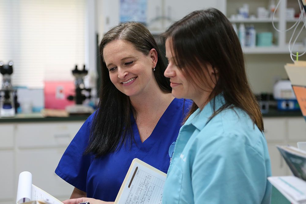 Helena Veterinary Clinic - pet boarding facility in Helena, AL