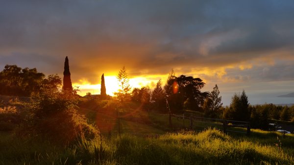 The Upcountry Massage Company