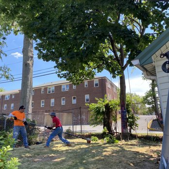 Jfj Tree Experts - Tree Services Near Me - Belleville, New Jersey Jfj Tree Experts - Tree Services Near Me - Belleville, New Jersey