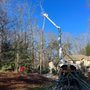 Photo of Golden Acres Tree Care