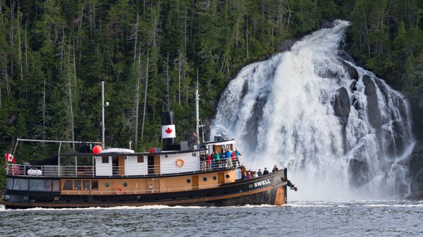 Maple Leaf Adventures by null