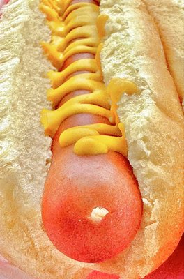 Matt's Famous Chili Dogs by null